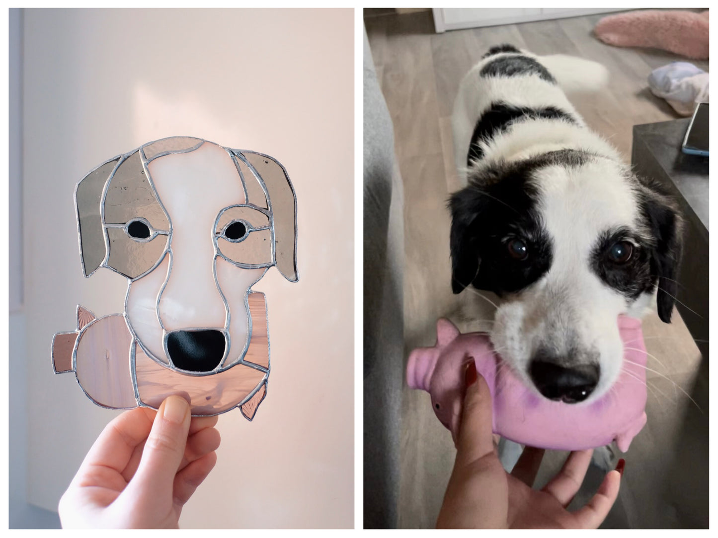 Dog Portrait with Piglets / Reserved