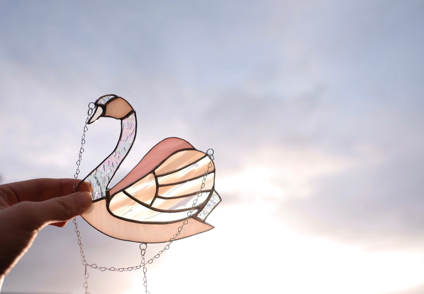 Swan in Purple / Reserved