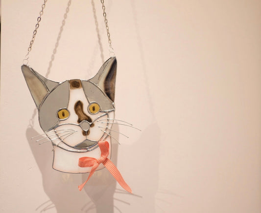 Cat Portrait / Reserved